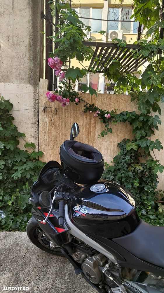 Aprilia Tuono 660 - 5