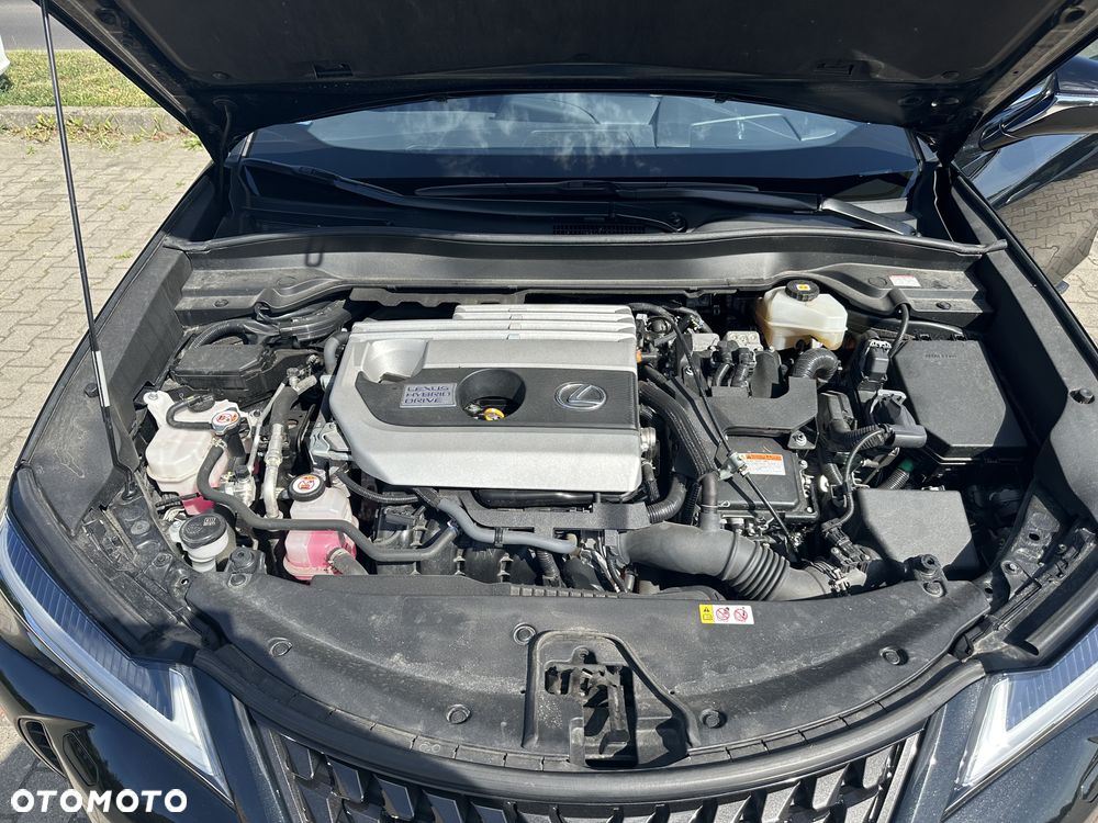 Lexus UX 250h Elegance 2WD - 10