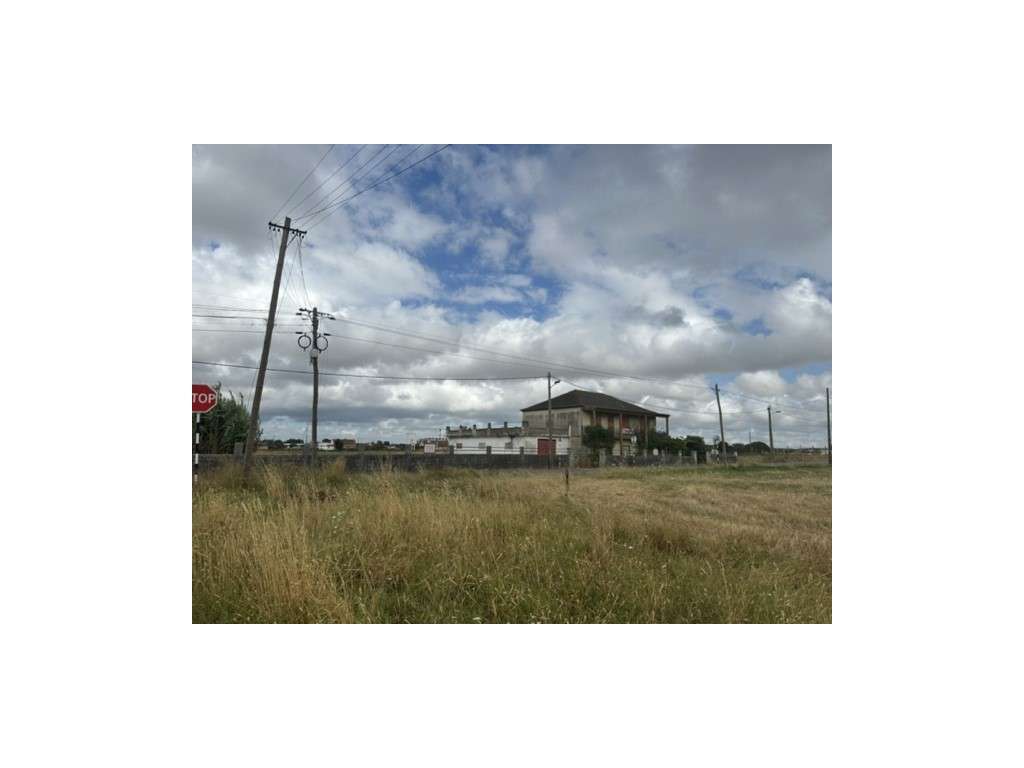 MONTIJO - MORADIA DE 2 PISOS C/ 243,00M2 C/ TERRENO URBANO 1.500M2,... - Grande imagem: 4/4