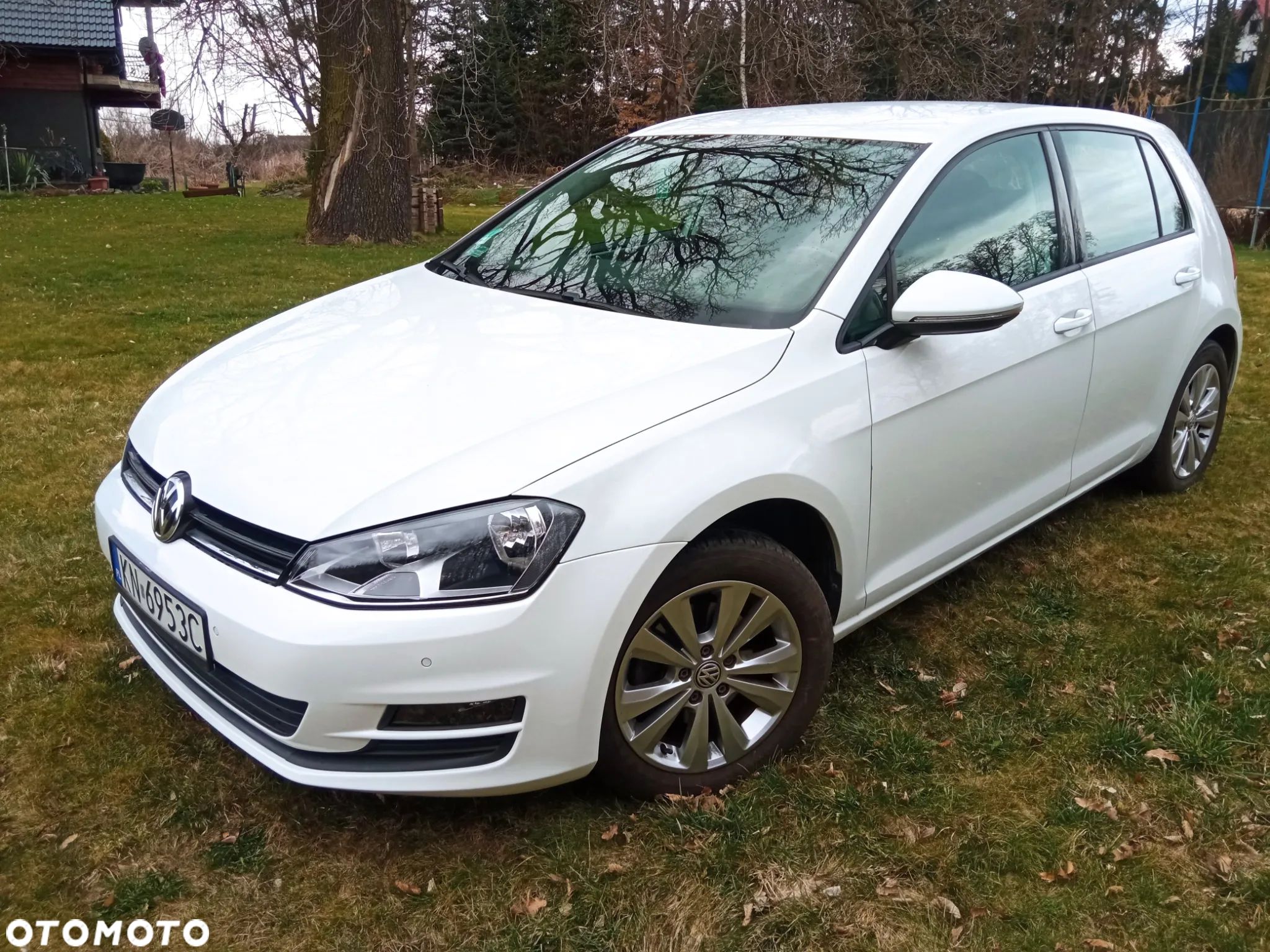 Volkswagen Golf - 1