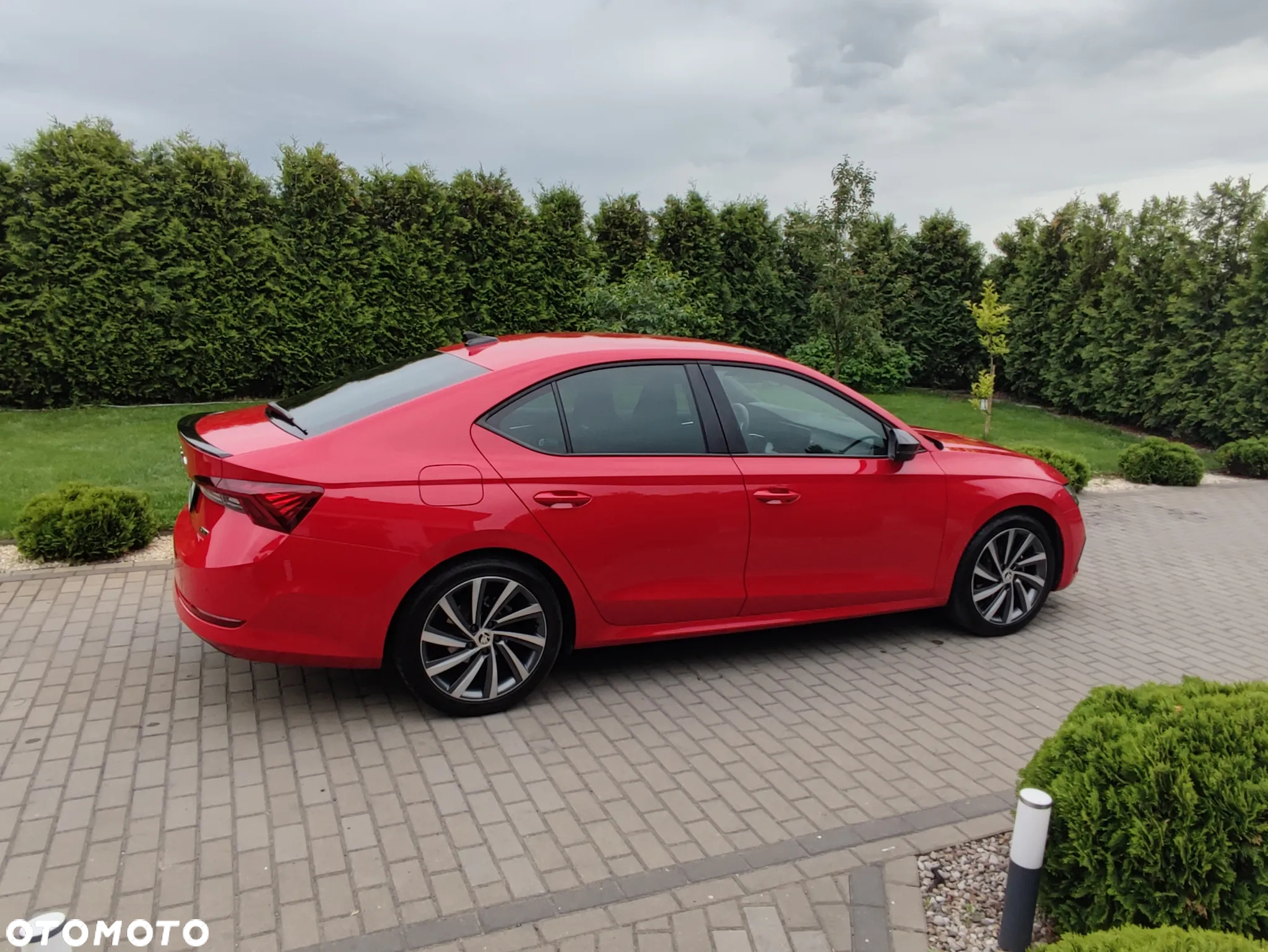 Skoda Octavia - 7