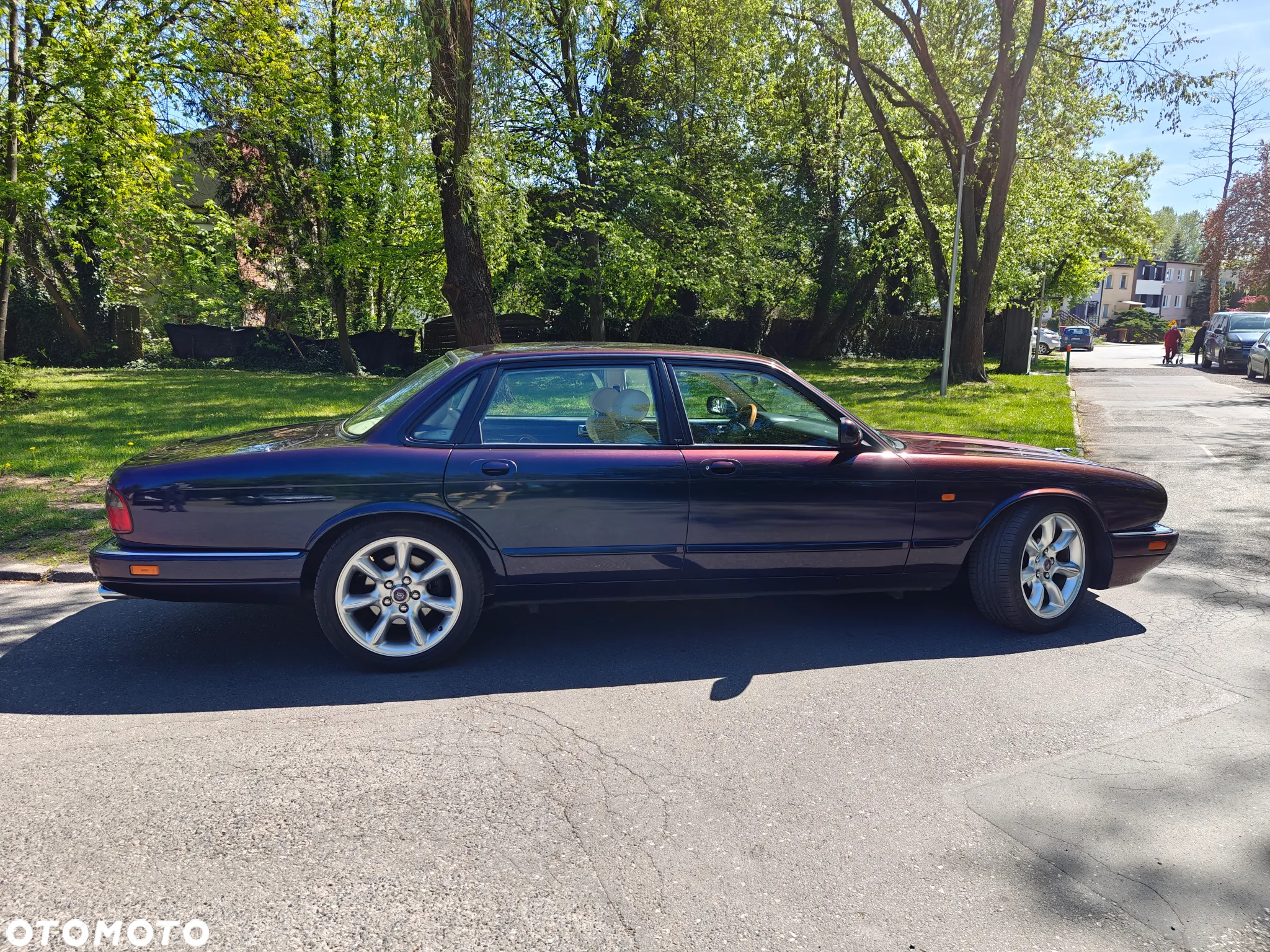 Jaguar XJR - 7