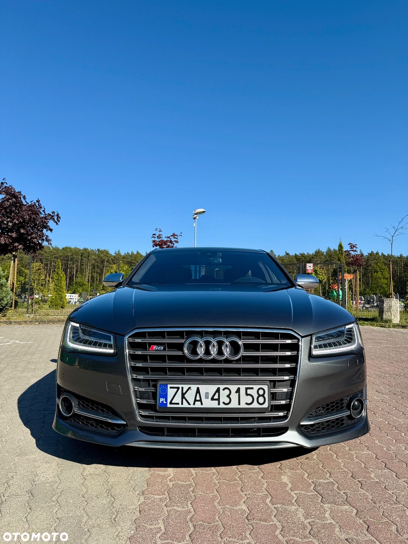 Audi S8 Plus 4.0 TFSI Quattro - 1