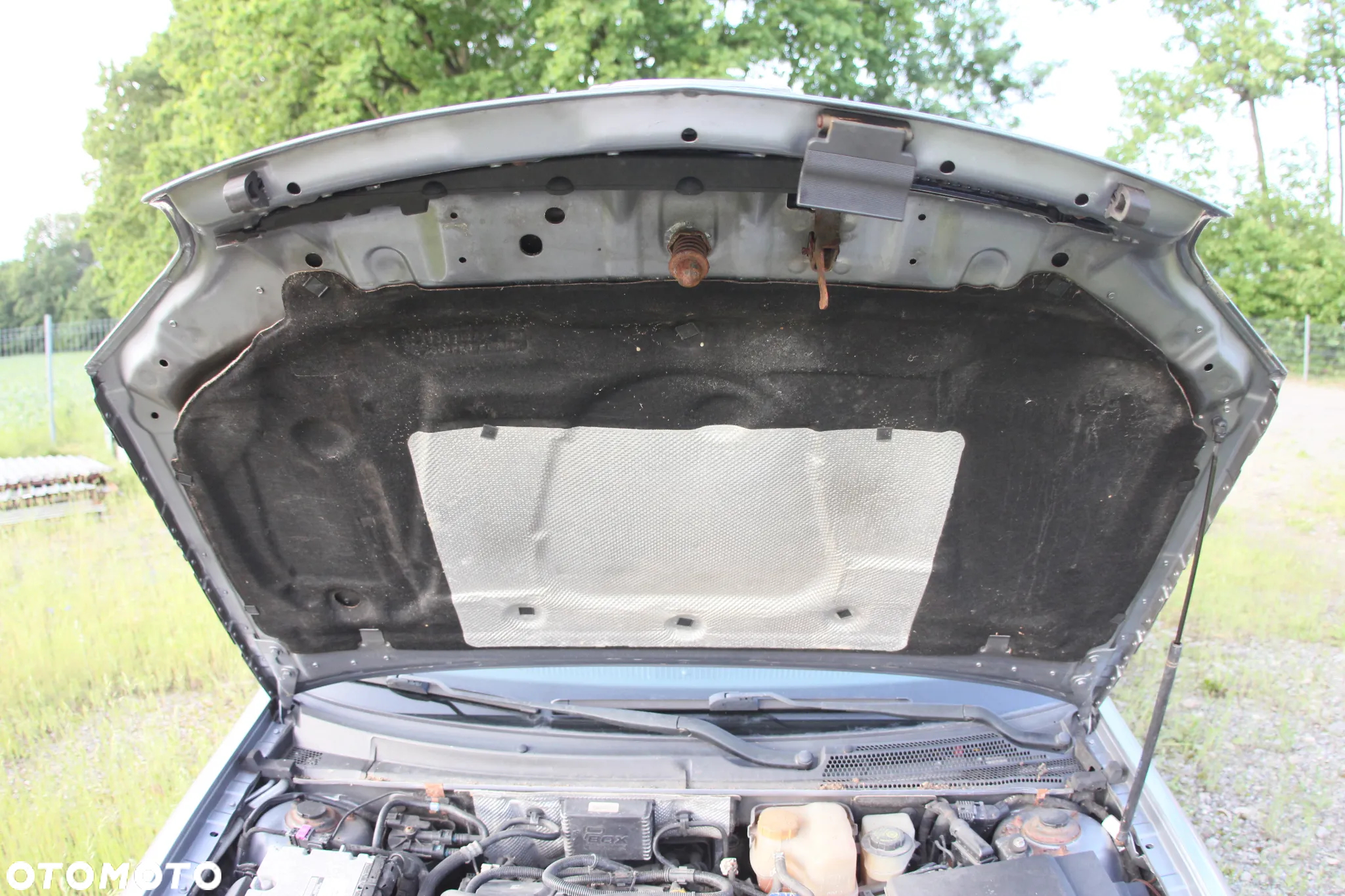 Opel Signum - 25