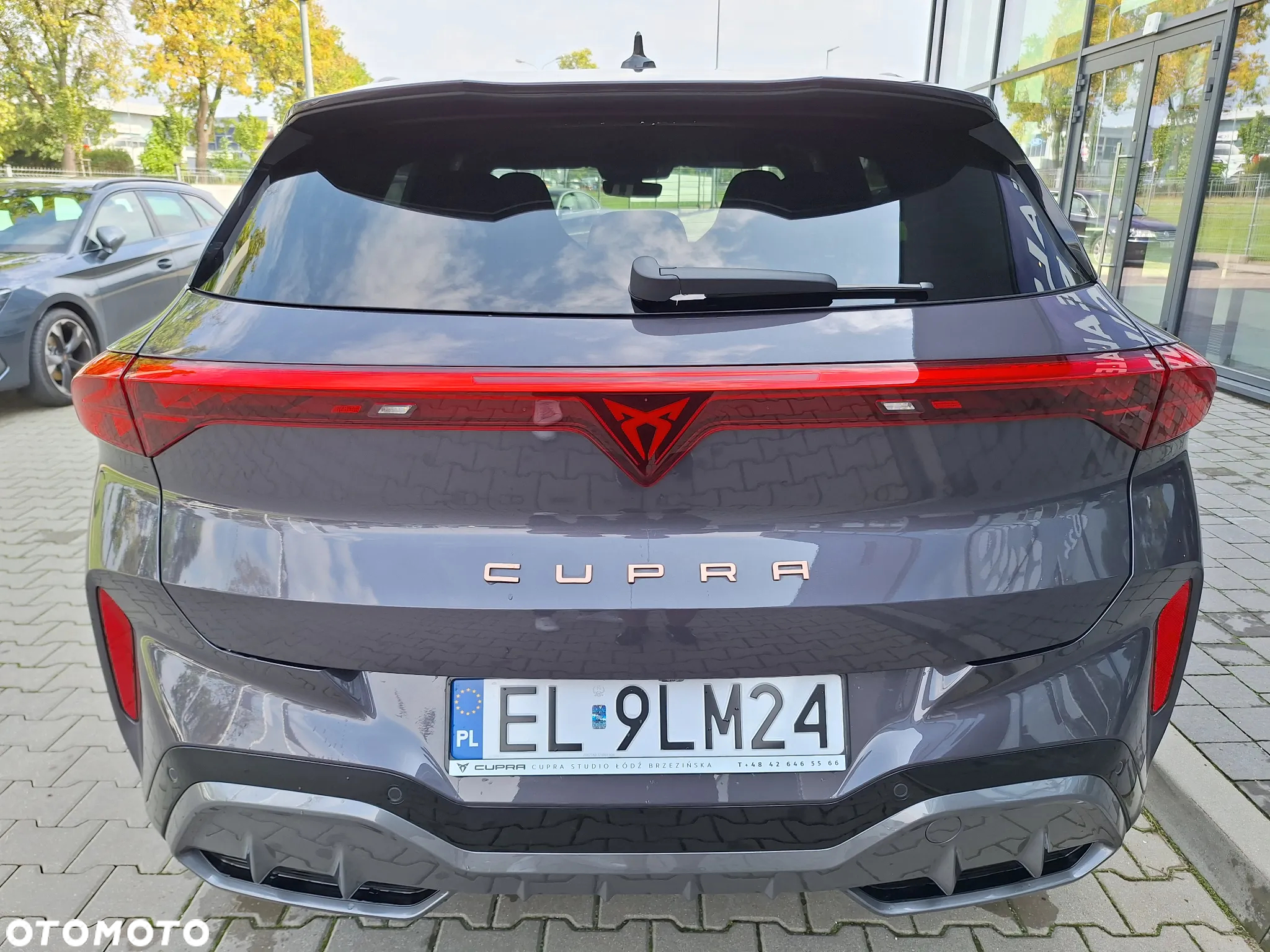 Cupra Terramar - 7