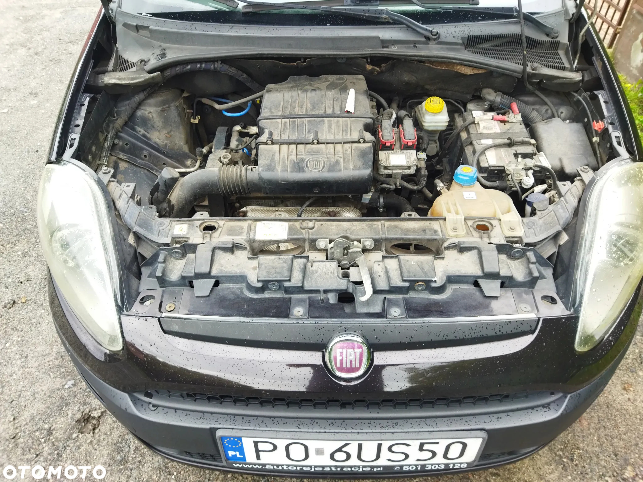 Fiat Punto - 2