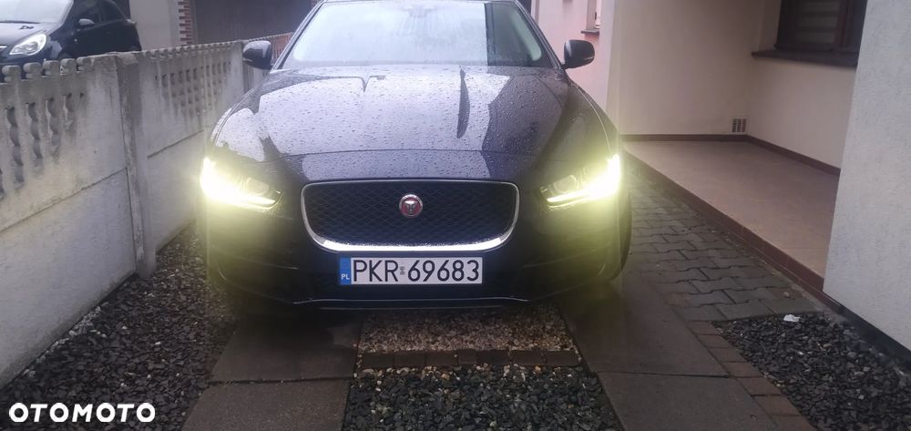 Jaguar XE E-Performance Prestige - 6
