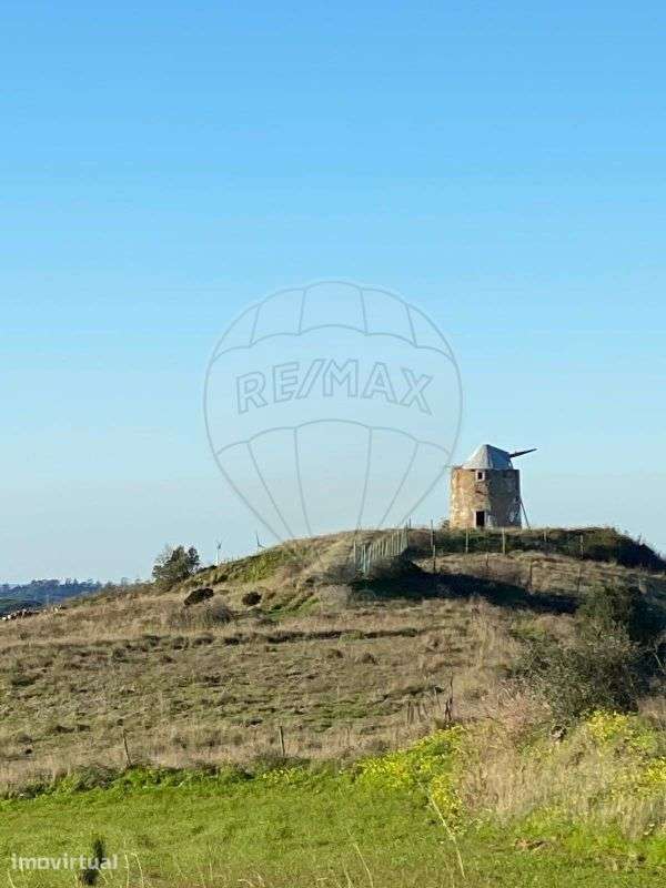 Terreno  para venda - Grande imagem: 4/40