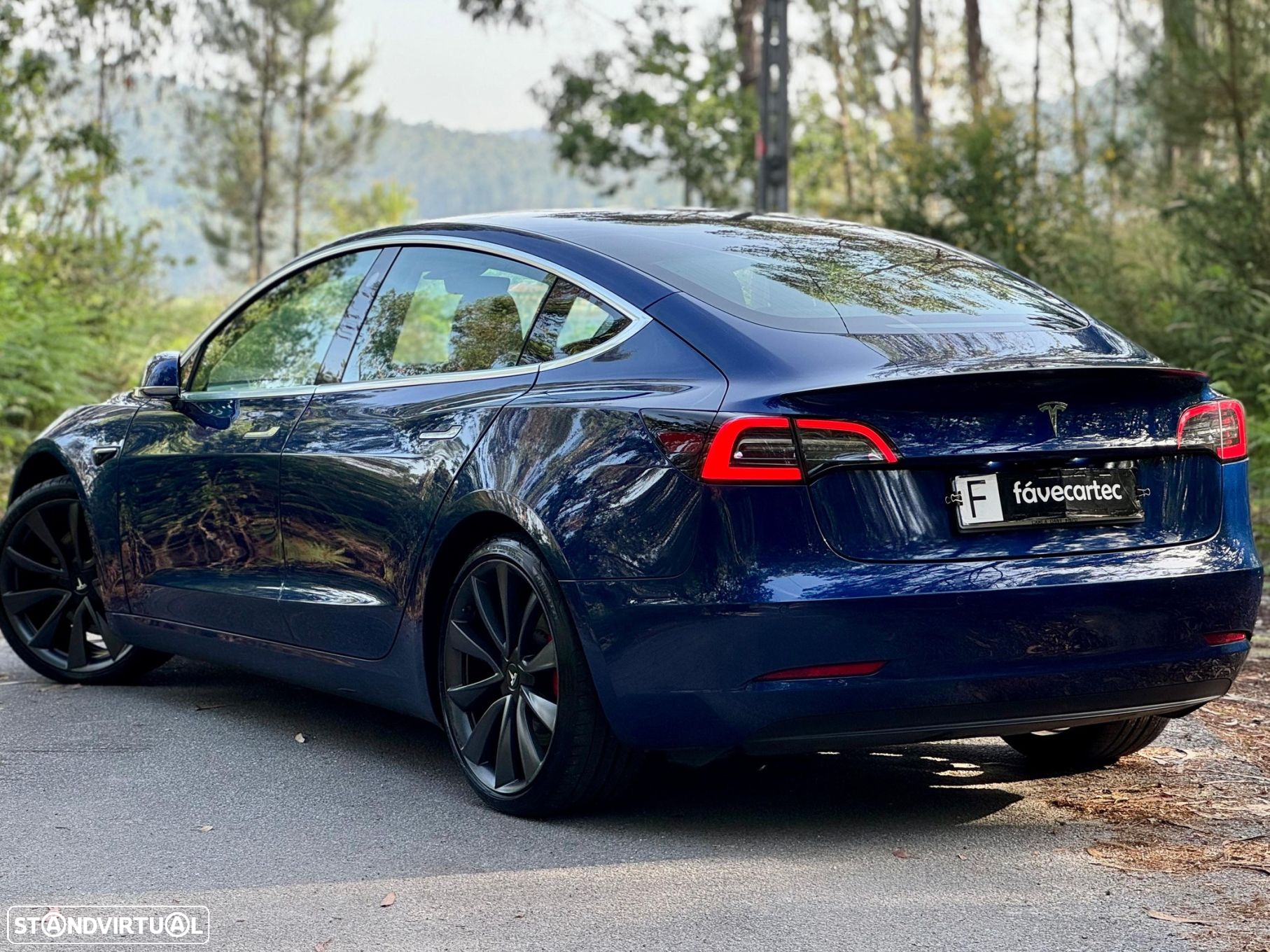 Tesla Model 3 Performance Dual Motor AWD - 4
