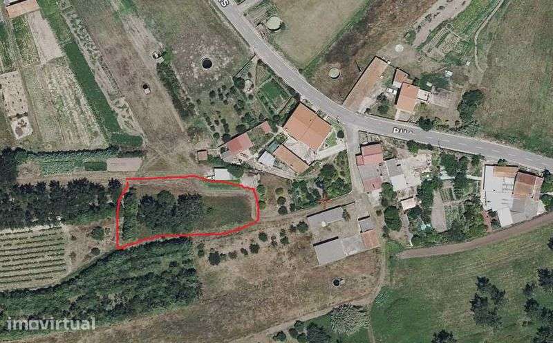 Terreno rústico (900 m²),plano,ao pé de casas e eletricidade próxima. - Grande imagem: 5/6