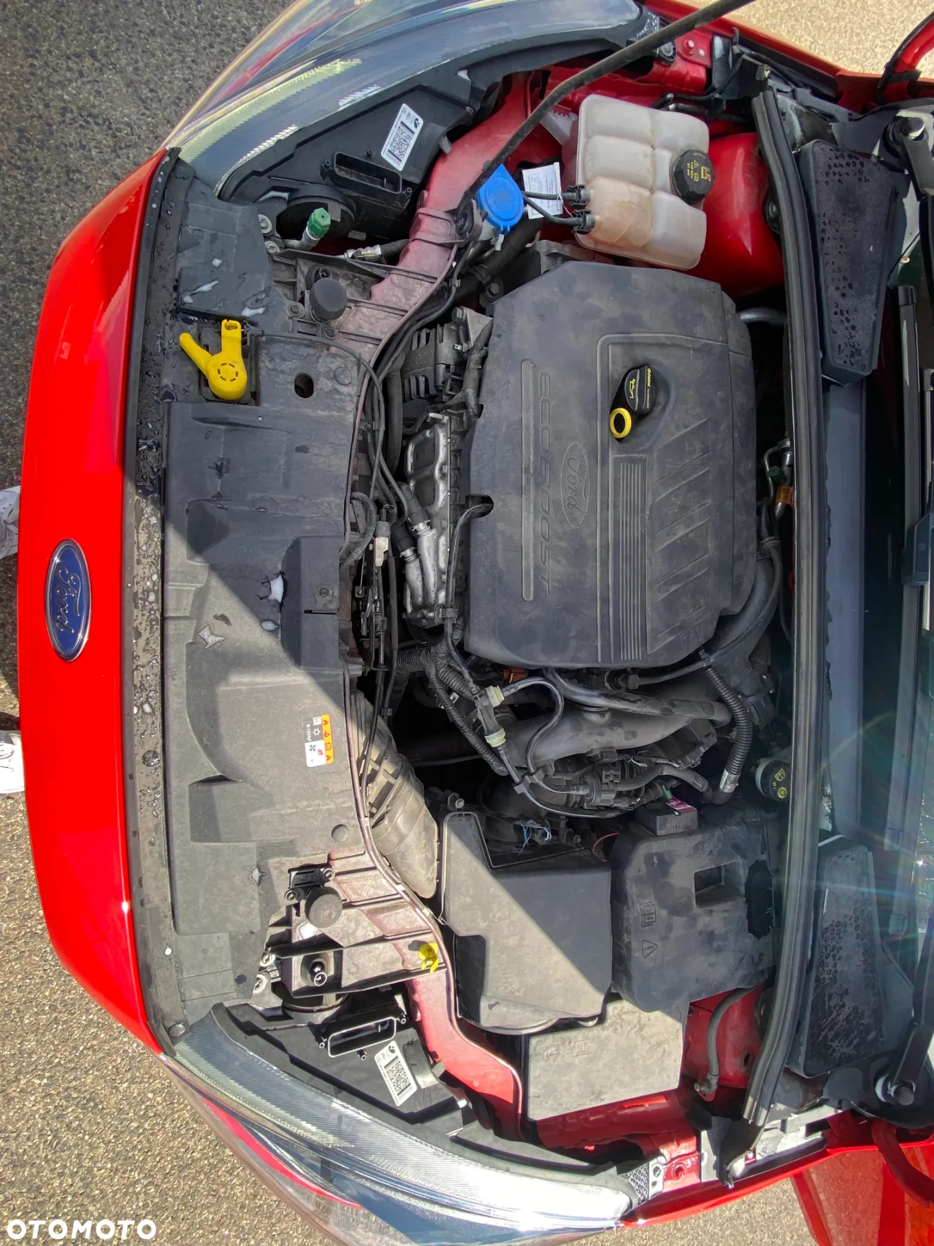 Ford Focus 1.5 EcoBoost ST-Line Red ASS - 9