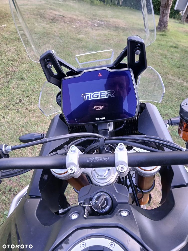 Triumph Tiger - 10