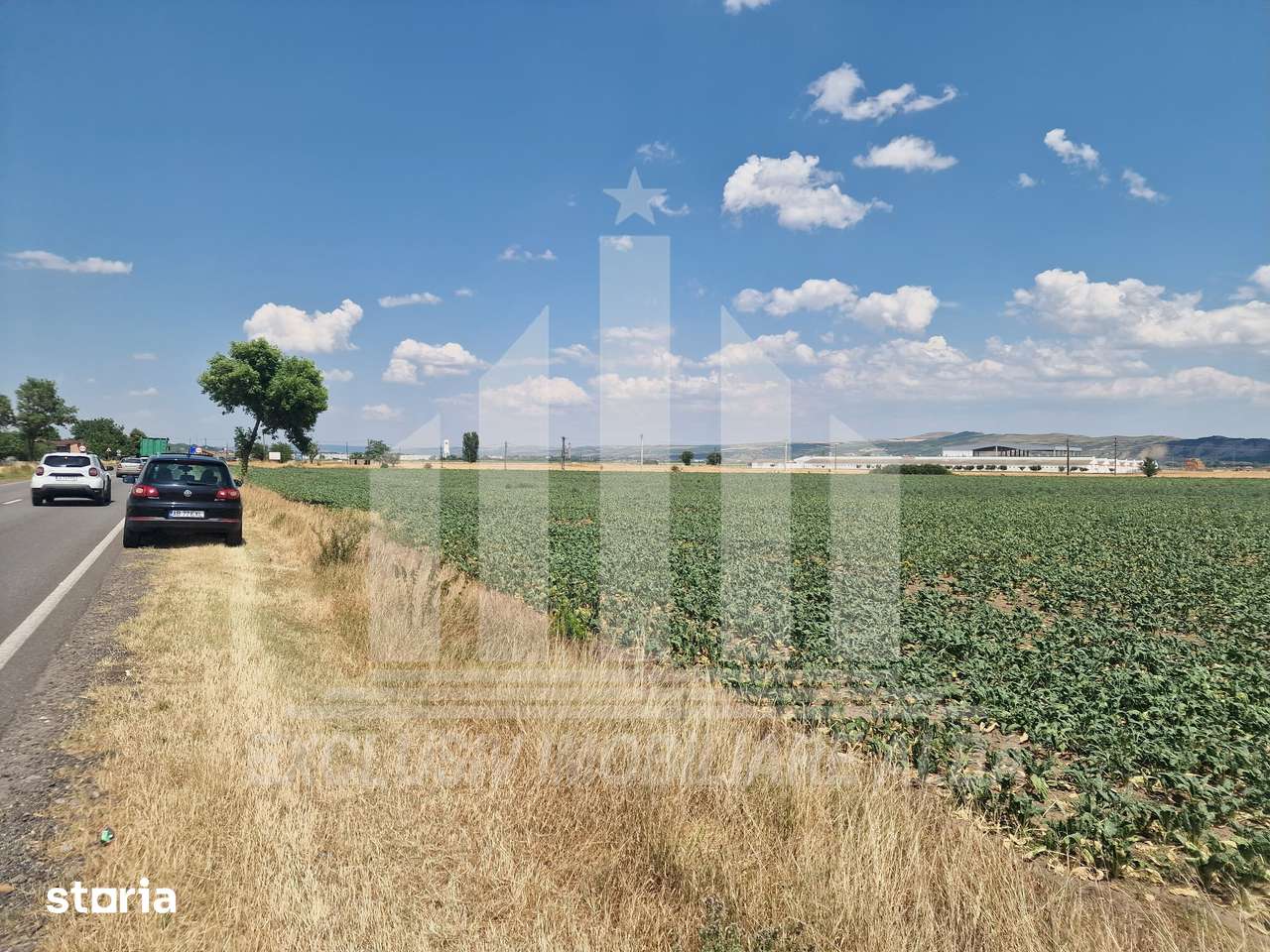 Teren agricol | La sosea | 9100 mp | 40 ml deschidere - Imagine principală: 2/9
