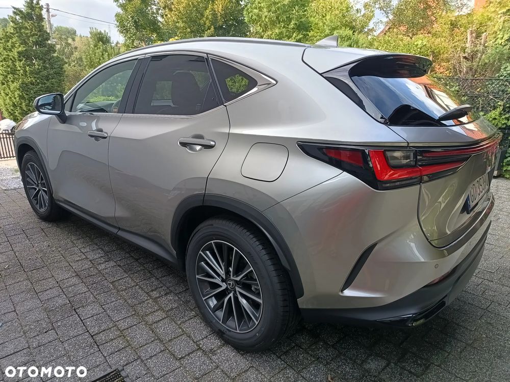 Lexus NX 350h Prestige 2WD - 2