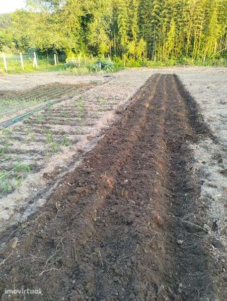 Terreno rústico próximo da cidade - Grande imagem: 2/10