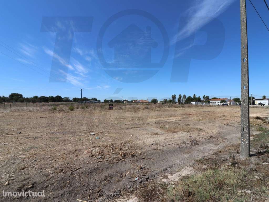 Lote Urbano - 57.500€ - Foros de Salvaterra - Grande imagem: 3/4