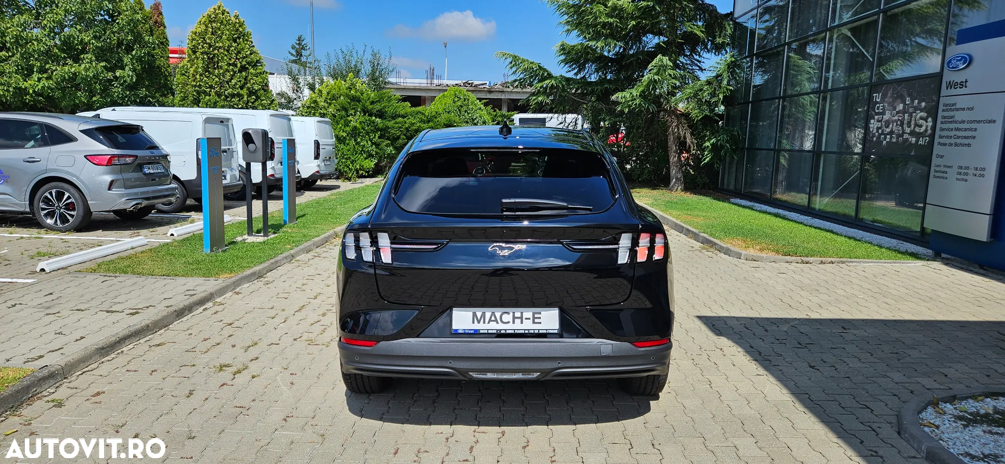 Ford Mustang Mach-E RWD Standard Range 198 kW Base - 6