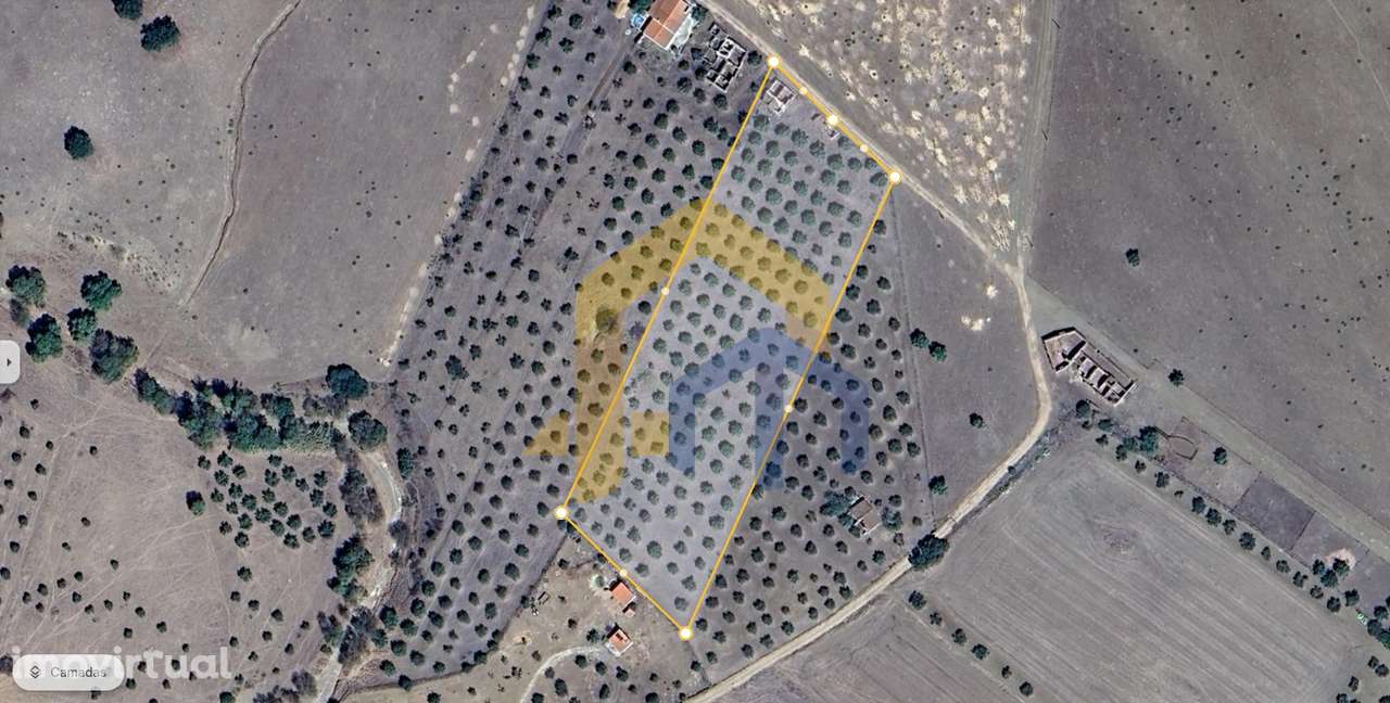 Quintinha  Venda em Santo Aleixo,Monforte - Grande imagem: 4/5