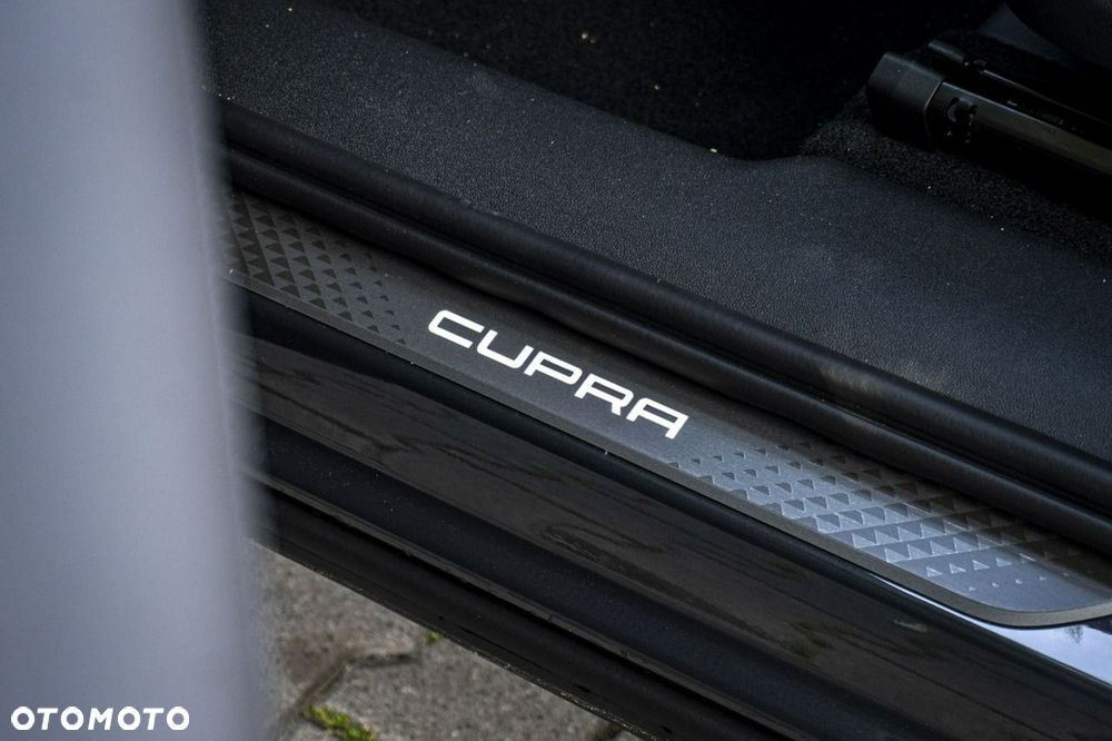 Cupra Terramar - 17
