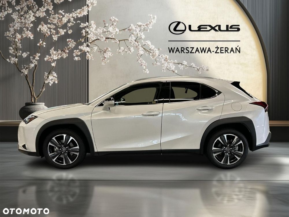 Lexus UX 300h Business - 4