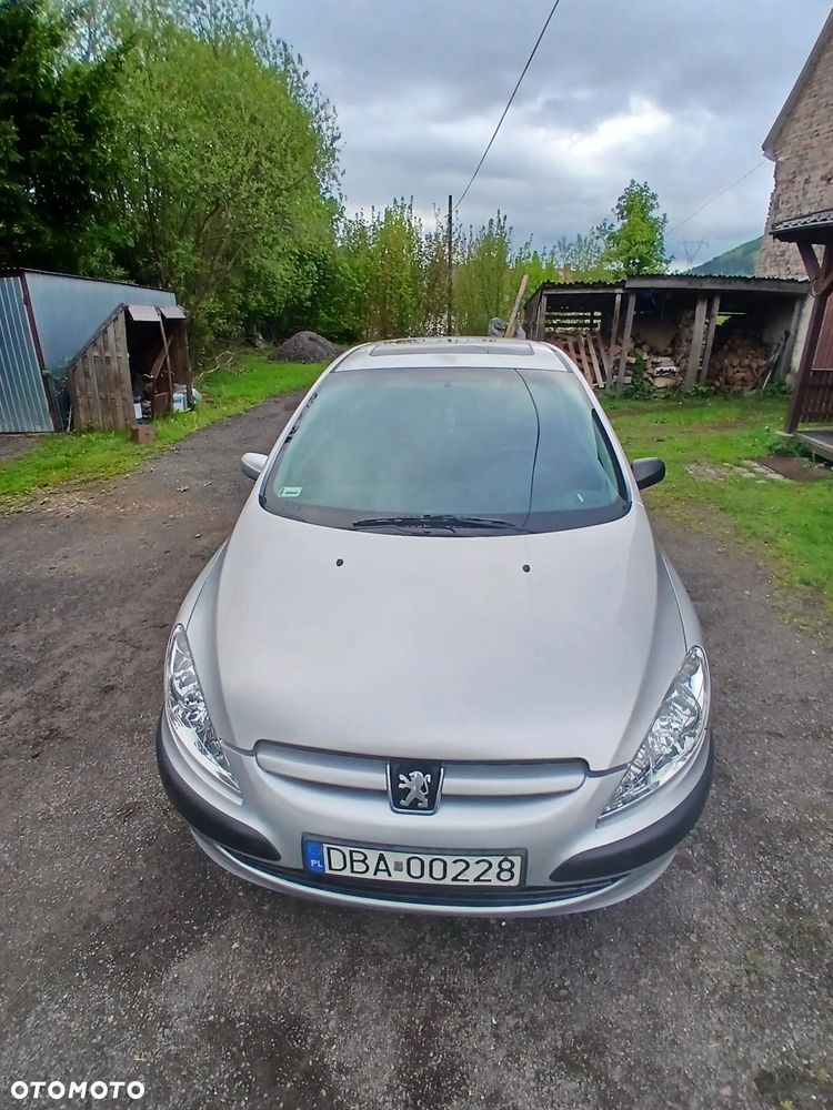 Peugeot 307 1.4 XS - 1