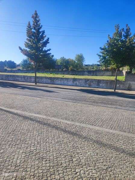 Terreno urbano de excelência