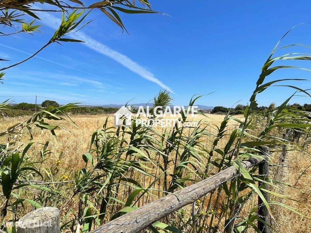 Fantástico Terreno Perto do Palmares Ocean Living & Golf Resort, Algar - Grande imagem: 5/9