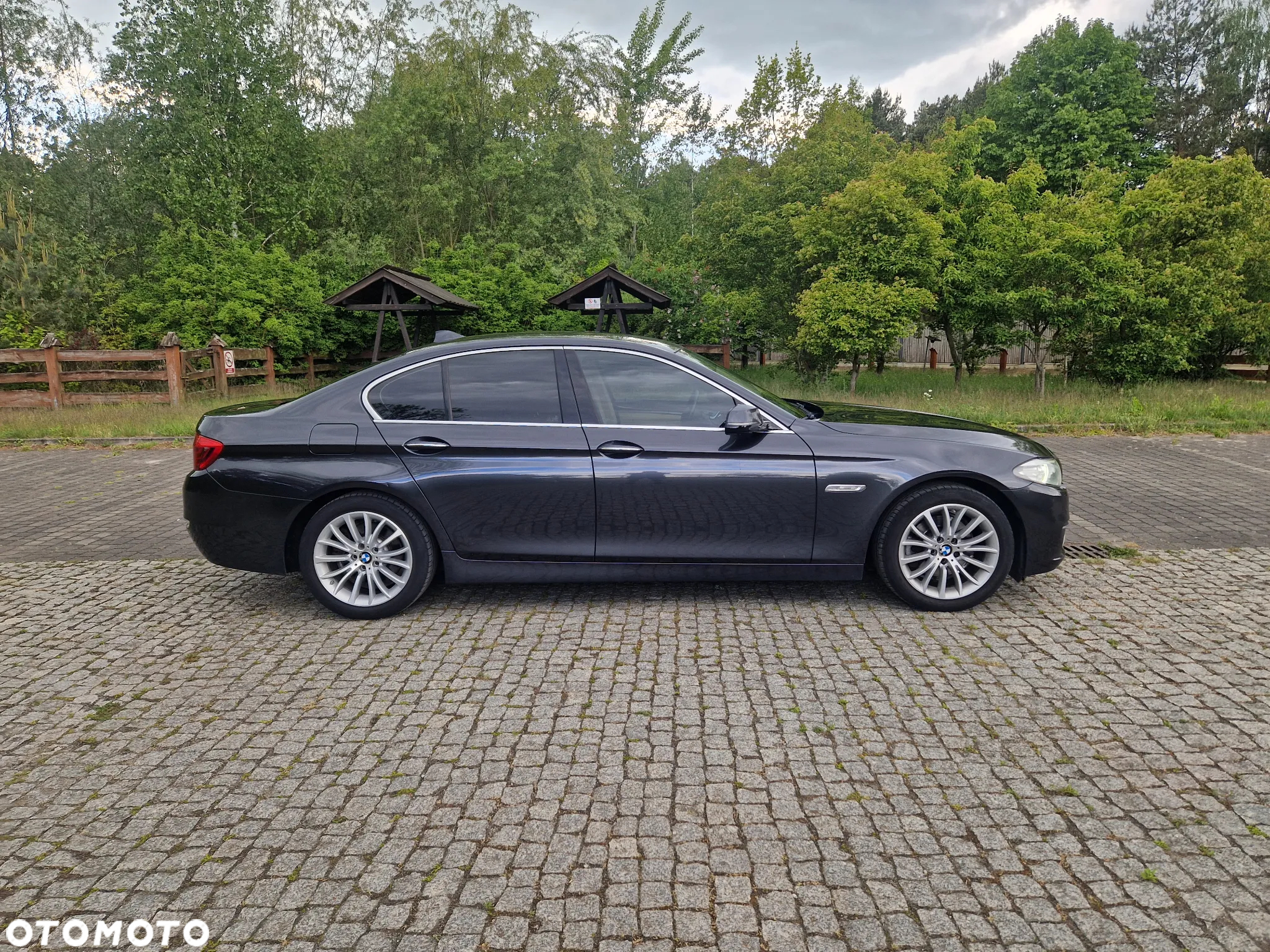 BMW Seria 5 520d Luxury Line sport - 10