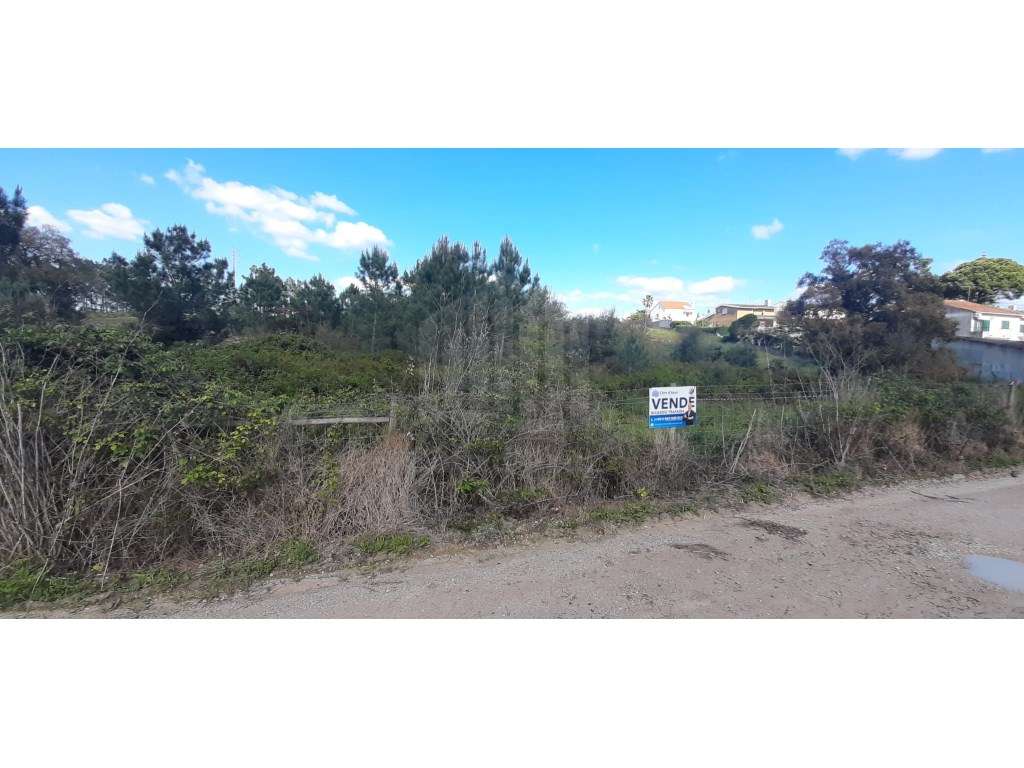 Terreno Carrasqueira - Grande imagem: 4/13