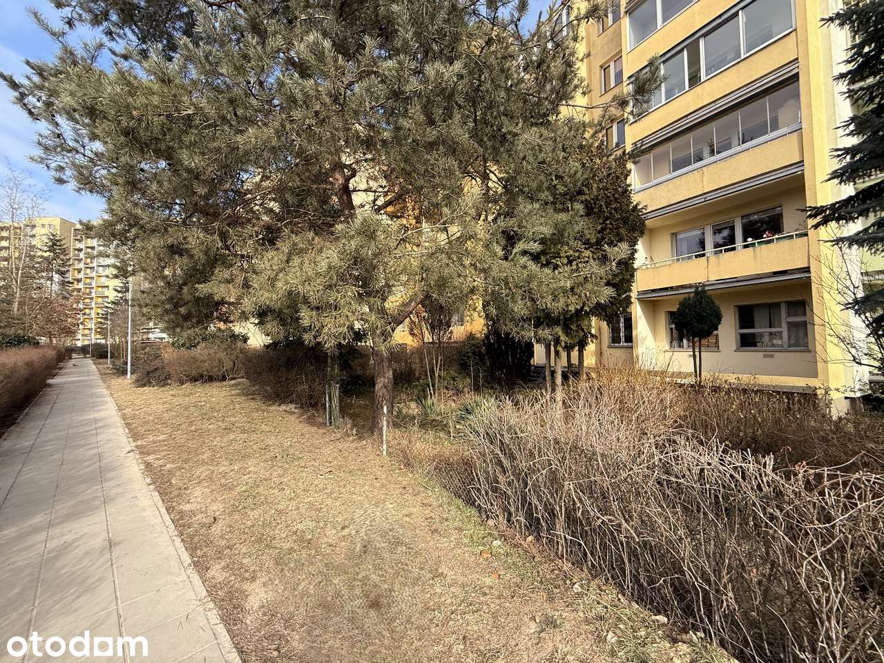 2 pokoje I balkon I piwnica I ogródek I REDA I spółdzielcze wł. prawo