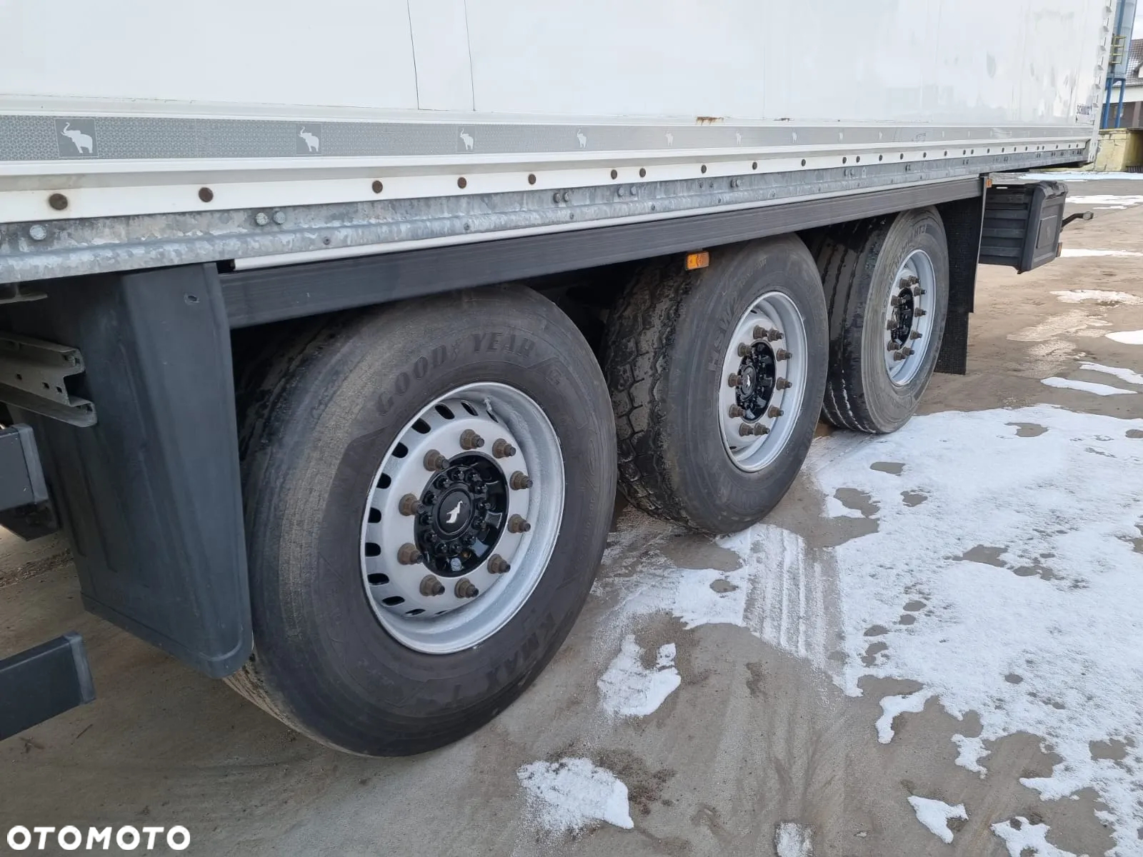 Schmitz Cargobull Izoterma Roleta 2016 rok Doppelstock - 8