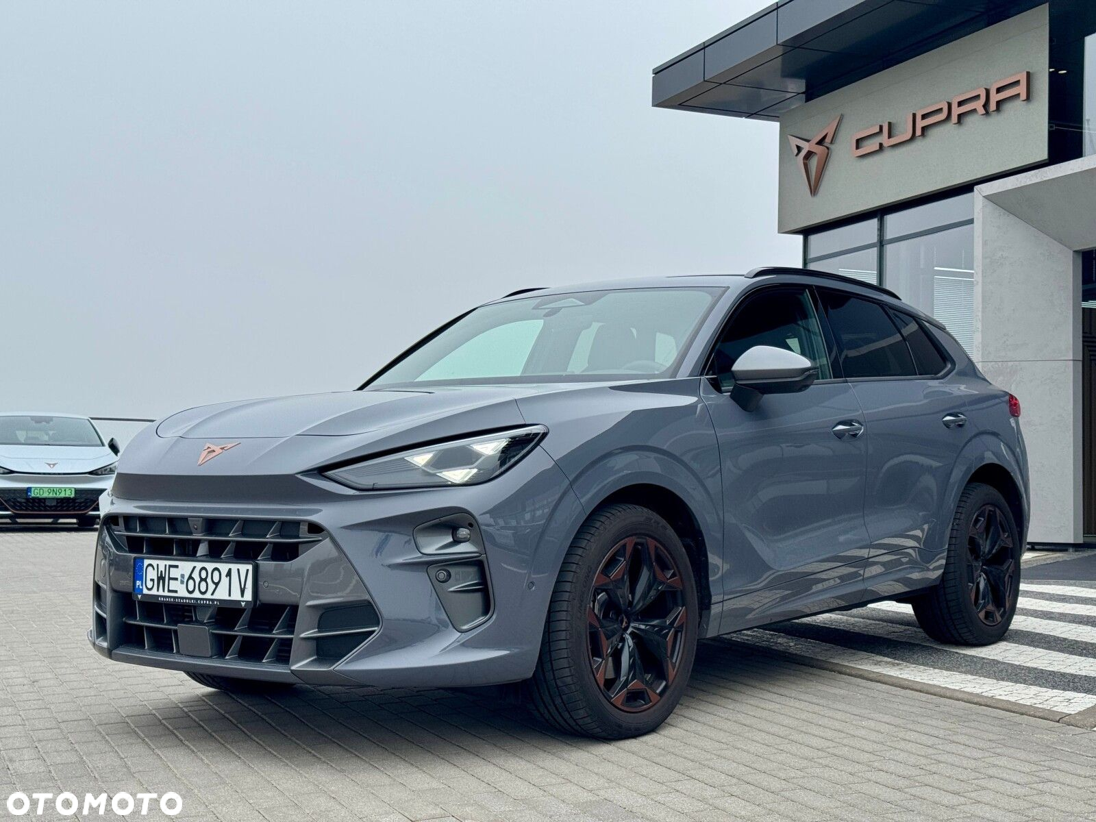 Cupra Terramar - 4