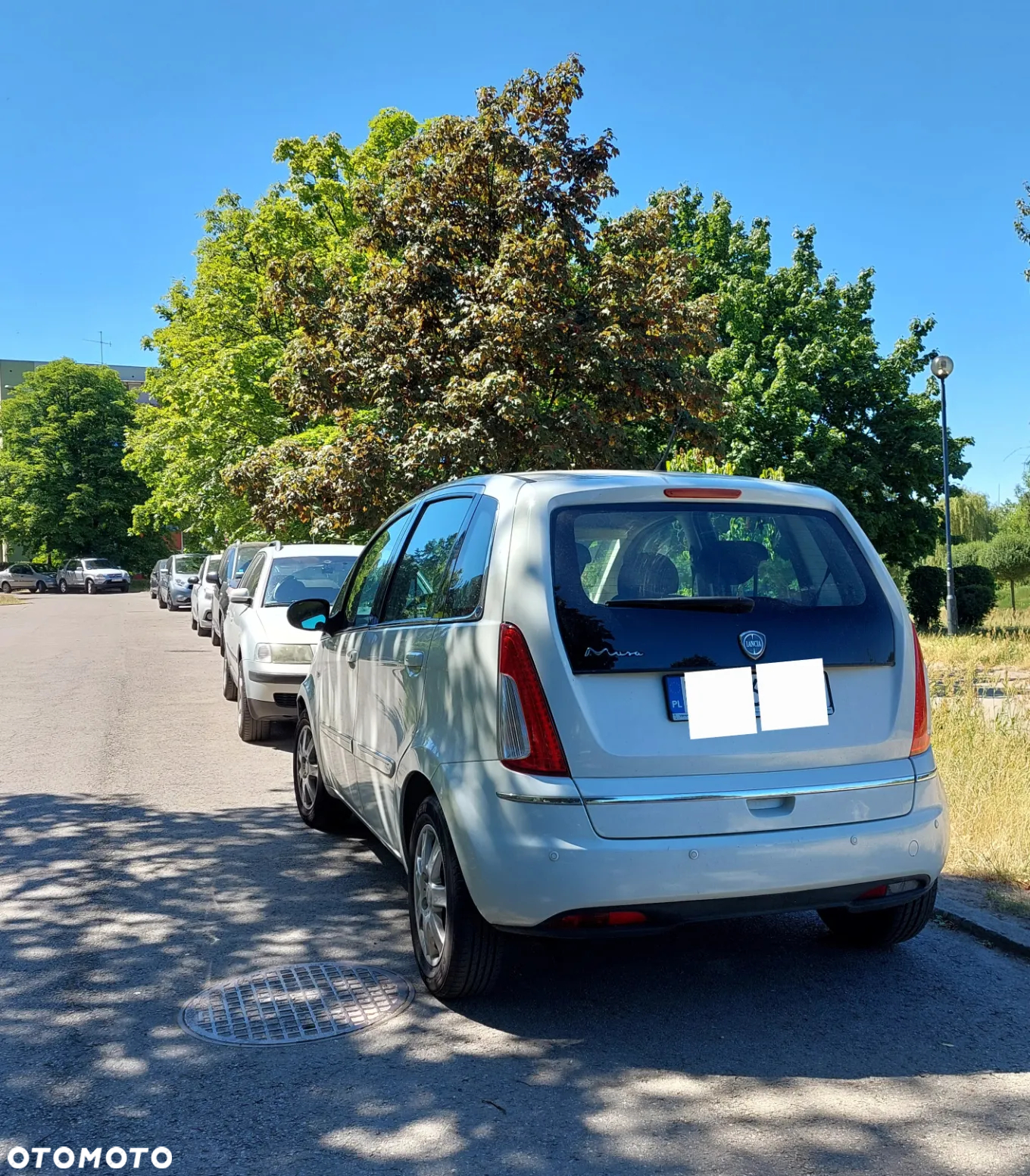 Lancia Musa - 4