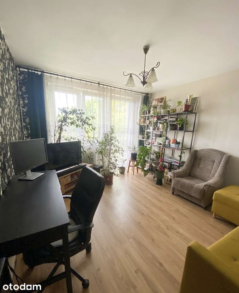 3-pokojowe mieszkanie w centrum miasta 47,80 m2 2piętro. Bezpośrednio