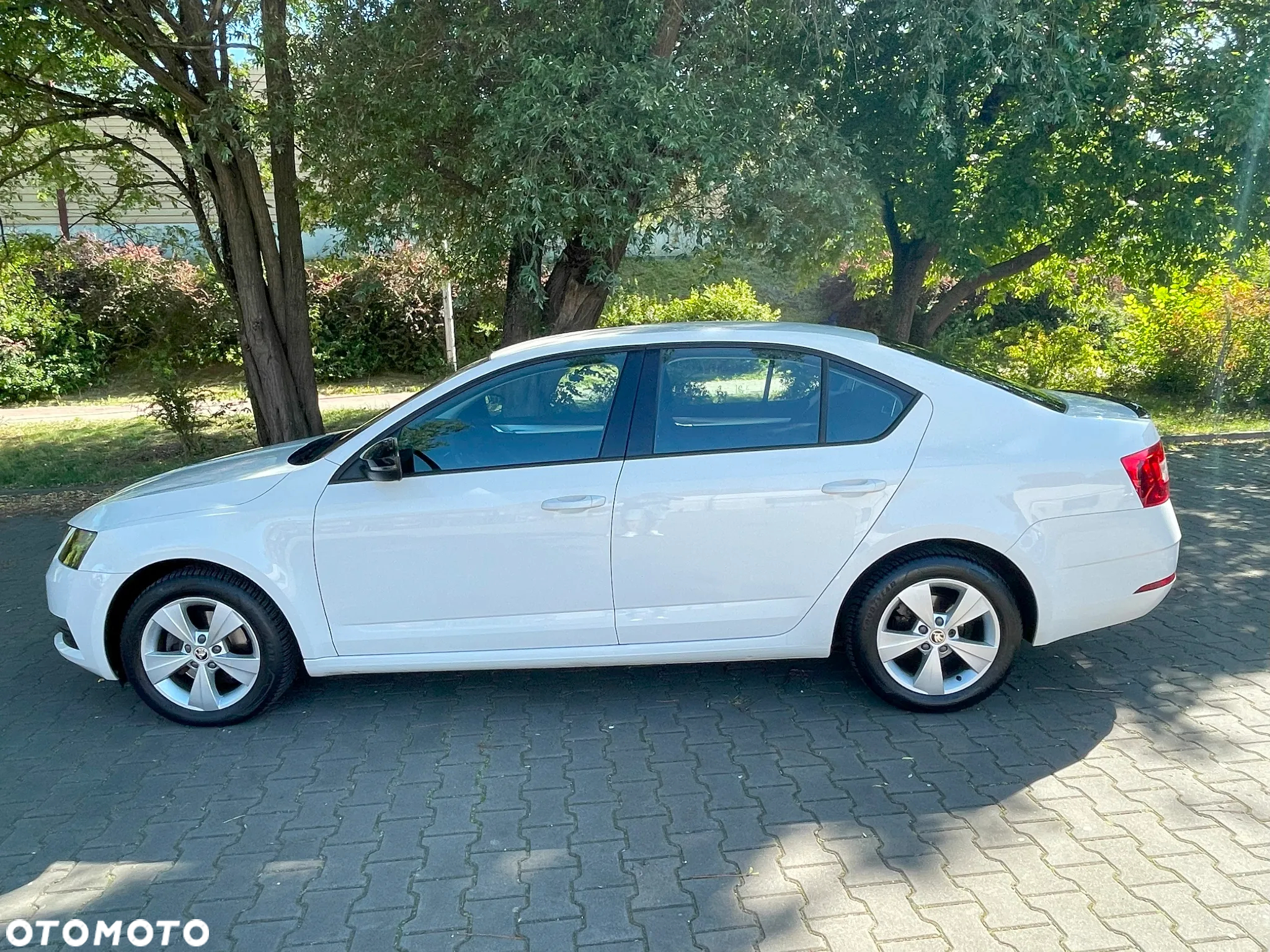 Skoda Octavia 1.5 TSI GPF ACT Ambition - 3