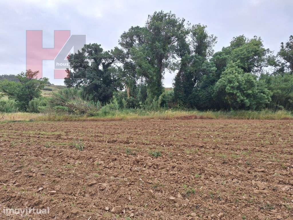 Terreno Rústico Plano com 15.560 m², 3 Poços e Eletricidade - Sapat... - Grande imagem: 2/12