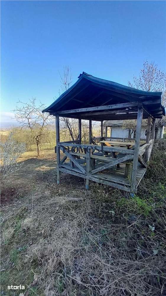 De vanzare teren extravilan in Orasul Nou - Imagine principală: 4/4