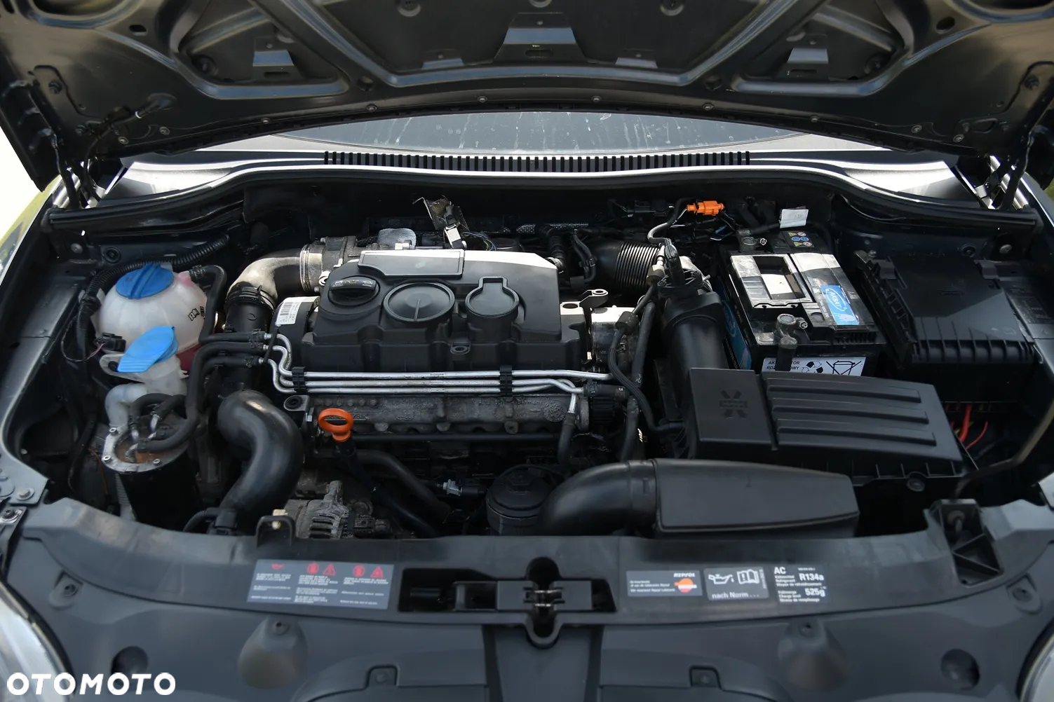 Seat Leon - 32