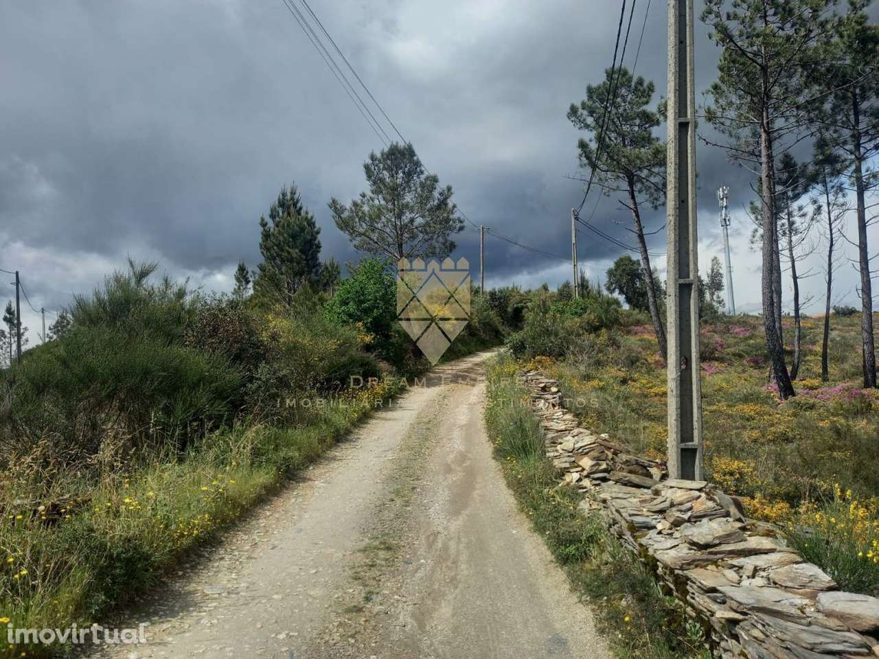 Terreno com 13.679 m² — Excelente Localização em Recarei - Grande imagem: 4/8