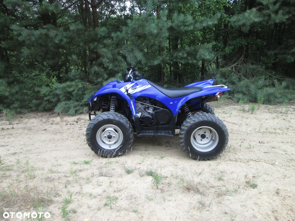 Yamaha Wolverine - 8