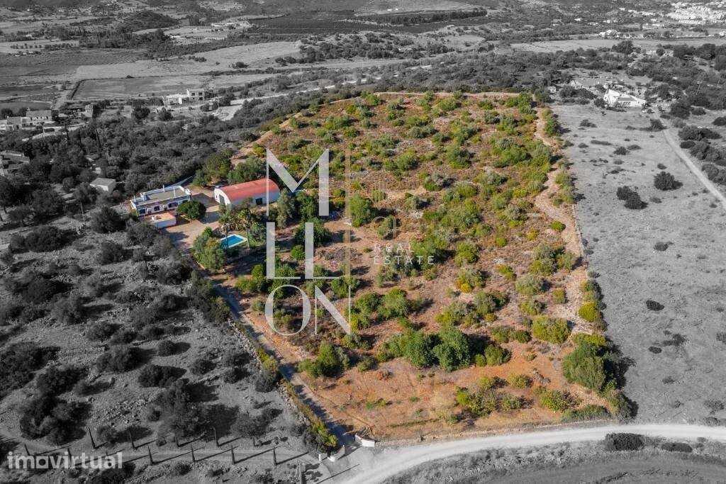 Quinta com 3,2 hectares em Silves - Grande imagem: 3/60