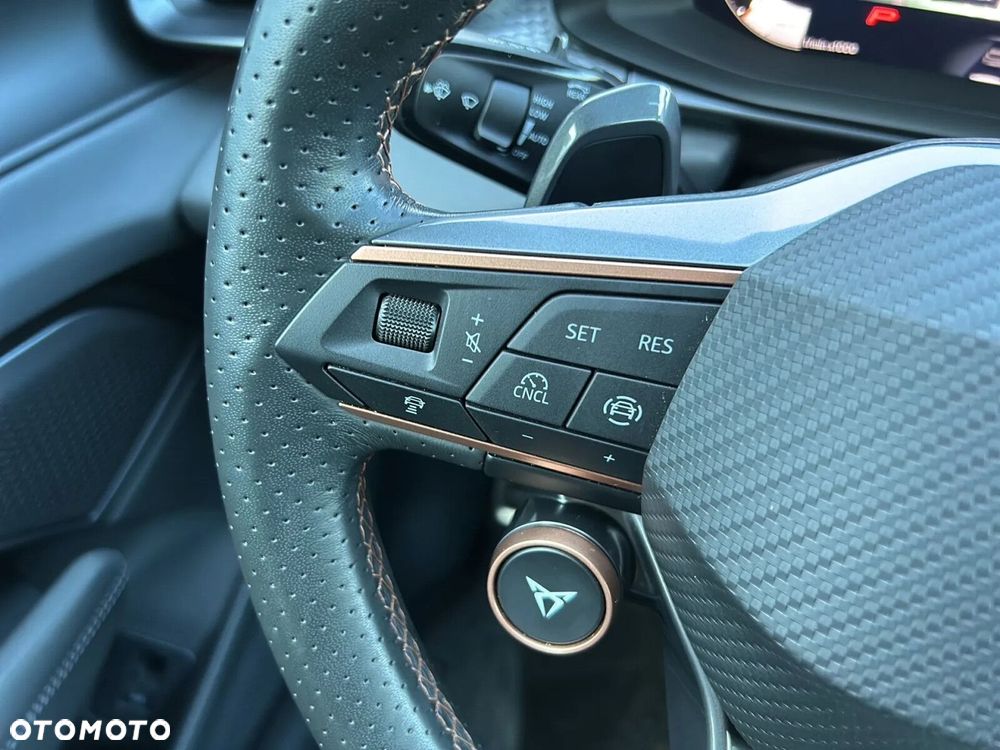 Cupra Terramar 2.0 TSI 4Drive DSG - 22