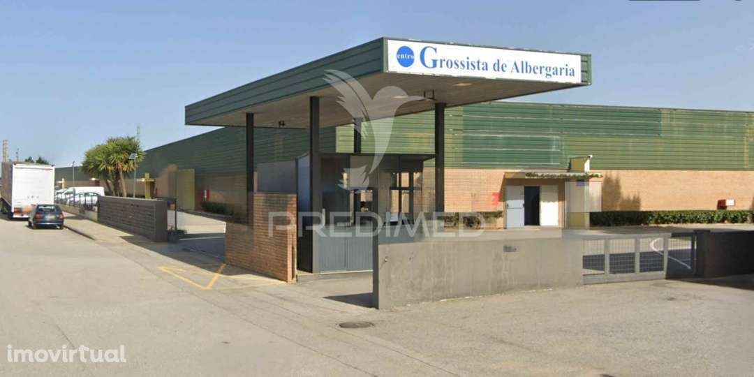 Loja Albergaria a Velha - Grande imagem: 3/5