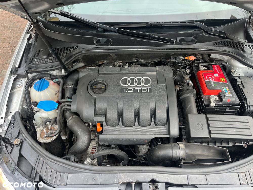 Audi A3 3-drzwiowe 1.9 TDI Ambition - 12