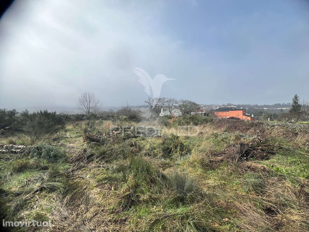 Terreno Rustico Penela Da Beira - Grande imagem: 4/4