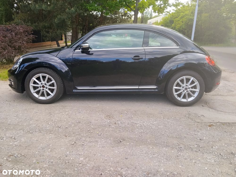 Volkswagen Beetle - 6