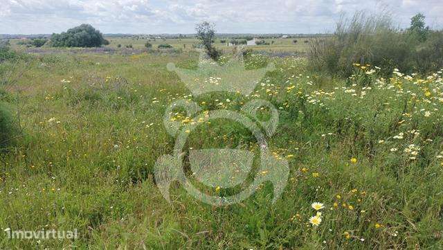Terreno na zona industrial com 6000 m2 - Grande imagem: 5/11