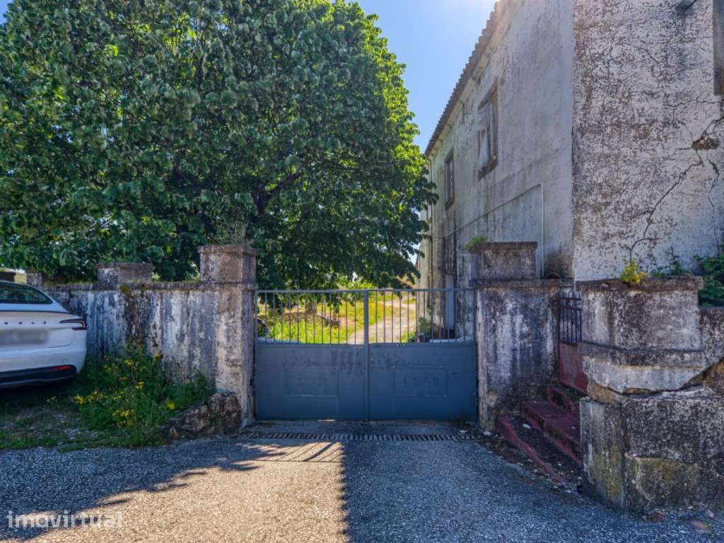 QUINTA DE 15 HECTARES COM MORADIA T9 E OLIVAL PRODUTIVO - OPORTUNID... - Grande imagem: 4/60