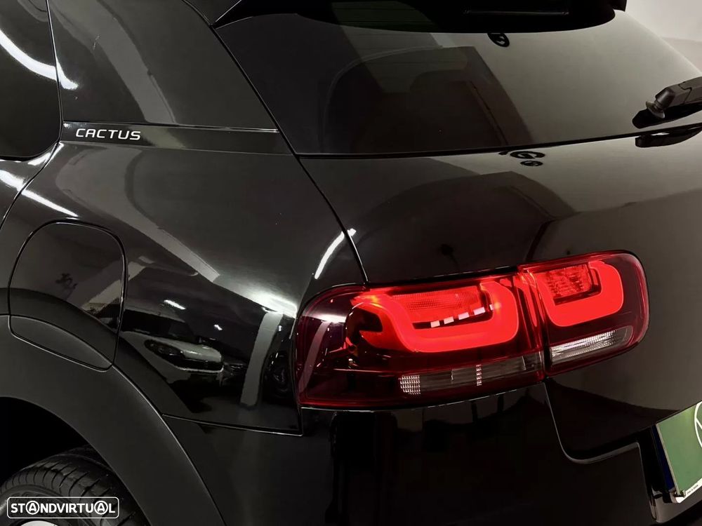 Citroën C4 Cactus 1.6 BlueHDi Shine - 21