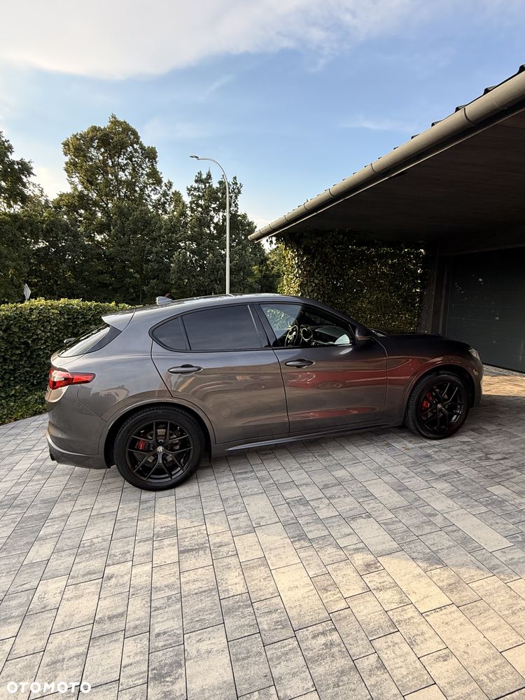 Alfa Romeo Stelvio 2.0 Turbo Veloce Q4 - 1